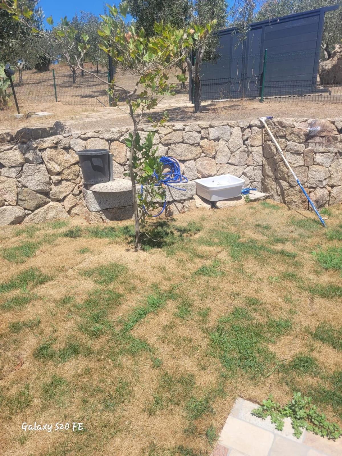 Residenza Degli Ulivi Lägenhet Olbia Exteriör bild