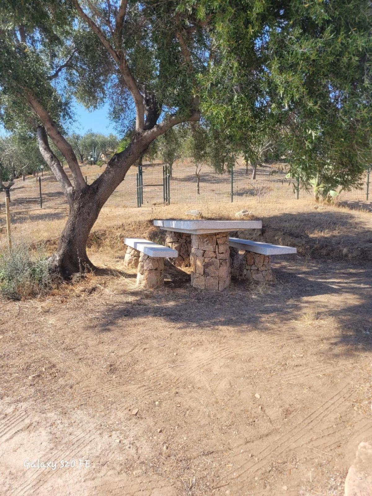 Residenza Degli Ulivi Lägenhet Olbia Exteriör bild