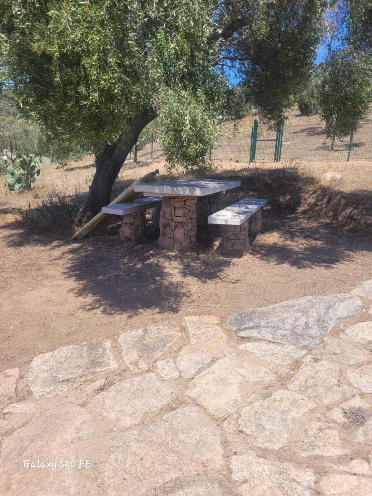 Residenza Degli Ulivi Lägenhet Olbia Exteriör bild
